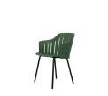 CANE-LINE CHOICE tuoli