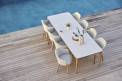 CANE-LINE CHOICE tuoli