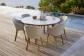 CANE-LINE CHOICE tuoli