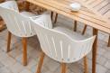 CANE-LINE CHOICE tuoli