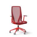 NARBUTAS D-CHAIR tytuoli 