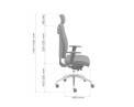TTR ASURA LIGHT tytuoli